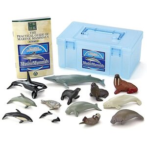 카로 라타 입체 그림책 실제 그림 상자(13 종류의 바다 생물)고래 돌고래 해달(설명 책 