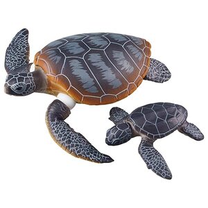다카라 토미”아니 아로-20 부모와 녹색 바다 거북의 자식(물 버전 1.1 에 떠있는). 