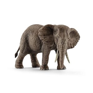 슐라이히 야생 동물 아프리카 코끼리(여성)그림 14761 