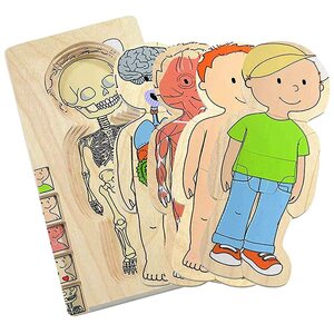 학습퍼즐 유아퍼즐 패턴블럭 브레인 모양-당신의 몸-소년 5 층 나무 퍼즐